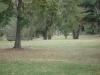 MacIntyre Park Disc Golf Course - Advanced 12