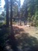 North Tahoe Lions Club Disc Golf Course